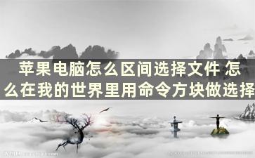 苹果电脑怎么区间选择文件 怎么在我的世界里用命令方块做选择